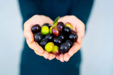 Keuken spatwand met foto Close up of a woman's hands holding a handful of olives © batuhan toker