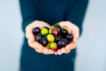 Close up of a woman's hands holding a handful of olives