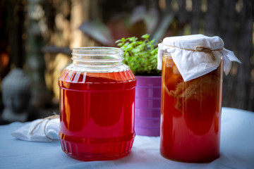 Blueberry Kombucha Tea with scoby