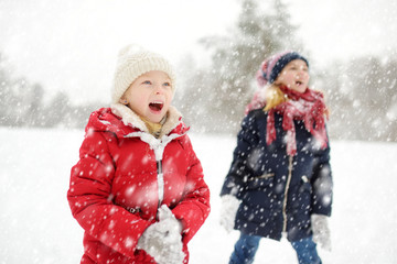 Two adorable young girls having fun together in beautiful winter park. Cute sisters playing in a snow.