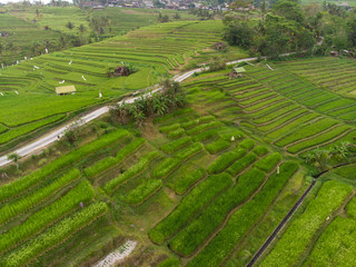Fototapeta na wymiar Indonesia, november 2019: Aerial view of Bali Rice Terraces Jatiluwih. The beautiful and dramatic rice fields in southeast Bali have been designated the prestigious UNESCO world heritage site.