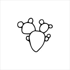 Hand drawn cactus isolated on a white background. Vector illustration