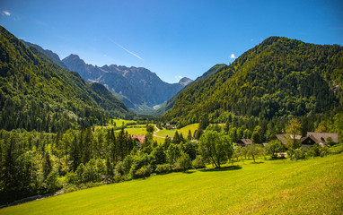 Fototapeta na wymiar Logar valley in summer, Slovenia