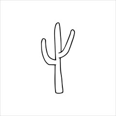 Hand drawn cactus isolated on a white background. Vector illustration