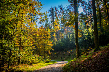 Autumn at Volcji Potok arboretum, Slovenia