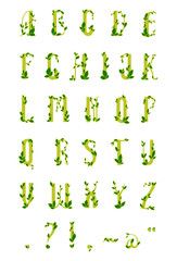 Vector green alphabet. Letters with green leaves, vector letters with leaves