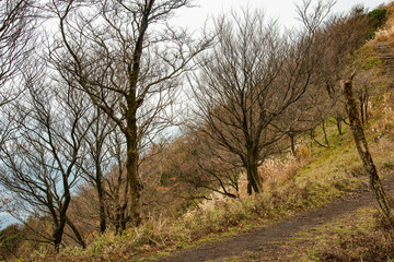 Obraz premium 兵庫県・市原コースへ千ヶ峰頂上から