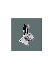 man with book on white background