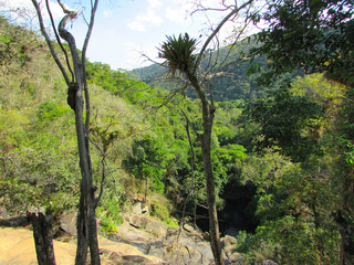 Fototapeta na wymiar Forest view in guaramiranga valley