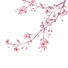 Watercolor sakura illustration. Background with blossom cherry tree branches. Hand drawn japanese flowers on white background.