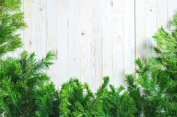 Holiday banner Green Christmas natural fir spruce