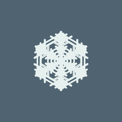 symbol of snowflakes. Vector illustration