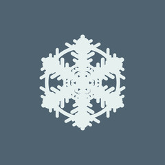 symbol of snowflakes. Vector illustration