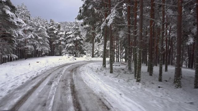 Driving on snow covered mountain forest road. Pov steady cam footage of driving on the road of a snow covered mountain forest on a winter day passing by fir trees covered in white snow .