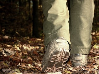 Close-up of walking in trekking boots on of leaves in forest