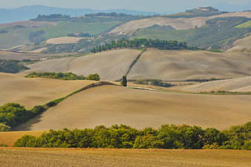  landscape of hills tuscany in autumn in Italy