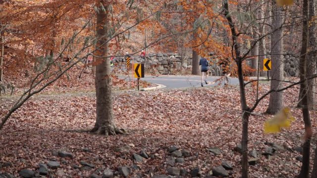 Two runners and a group of bicyclists on Beach Drive - Rock Creek Park - Washington, DC - Autumn