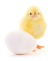 Obraz premium Chicken and egg.