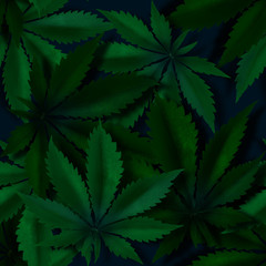 Fototapeta na wymiar Cannabis Pattern, 3D Effect