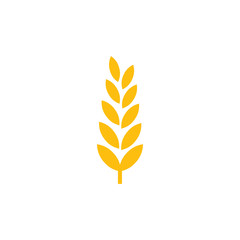Wheat and barley ears vector illustration
