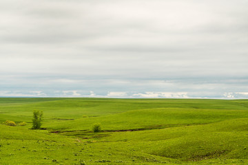 Flint Hills