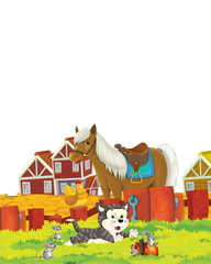 cartoon scene with cat and horse having fun on the farm on white background - illustration for children