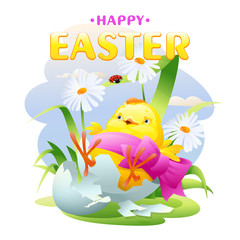 A born chicken, examines a ladybug perched on a blade of grass. A cradle of shells surrounded by flowers and a pink ribbon on a blue background. Easter card. EPS10