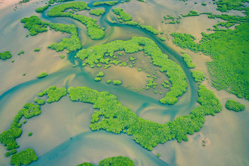 Senegal Mangroves. Aerial view of mangrove forest in the  Saloum Delta National Park, Joal Fadiout, Senegal. Photo made by drone from above. Africa Natural Landscape.