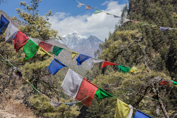 Prayer Flags with Himalayn Mountains In the Back