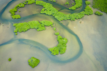 Senegal Mangroves. Aerial view of mangrove forest in the  Saloum Delta National Park, Joal Fadiout, Senegal. Photo made by drone from above. Africa Natural Landscape.