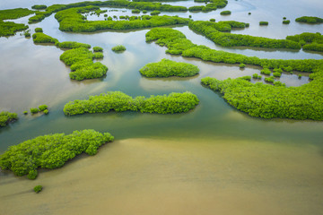 Senegal Mangroves. Aerial view of mangrove forest in the  Saloum Delta National Park, Joal Fadiout,...
