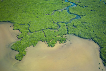 Senegal Mangroves. Aerial view of mangrove forest in the  Saloum Delta National Park, Joal Fadiout,...