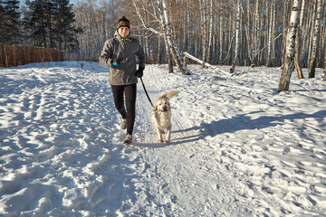 Labrador retriever dog for a walk with its owner man in the winter outdoors doing jogging sport. - 305707973