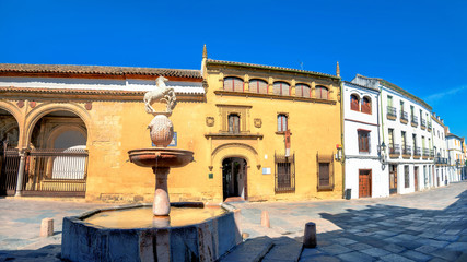 Street view with museum of Fine Arts on Plaza del Potro in Cordoba. Andalusia, Spain
