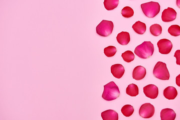 Rose flower petals on pink pastel background, copy space. Spring minimal concept. Greeting card for Womens Day, Mothers Day, Valentine's Day, wedding, birthday. Nature background. Flat lay, top view