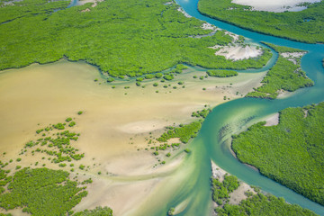 Senegal Mangroves. Aerial view of mangrove forest in the  Saloum Delta National Park, Joal Fadiout, Senegal. Photo made by drone from above. Africa Natural Landscape. - obrazy, fototapety, plakaty