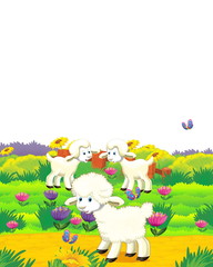 cartoon scene with sheep having fun on the farm on white background - illustration for children