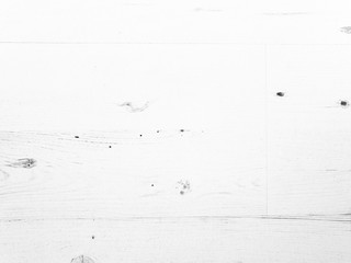 Parquet flooring with birch texture - background photo.