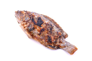 Grilled Fish on white background