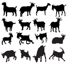Set of goat Silhouette collection vector illustration with many style different like running,sitting,eating,etc . goat isolated on white background