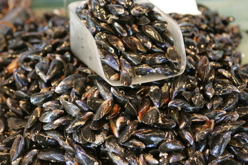 moules