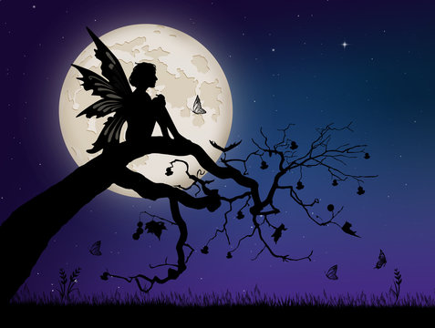 illustration of fairy on branch
