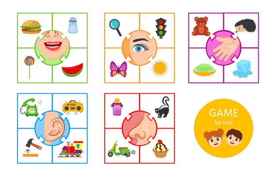 Educational worksheet for kids. Game for Kids to Compare and Connect Objects and Shadows. The picture of senses and objects - touch, taste, hearing, sight, smell