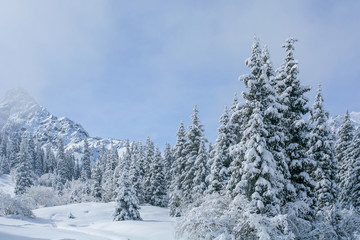 Obraz premium Allphotokz Tuyuk-Su 20060410 8623 5D