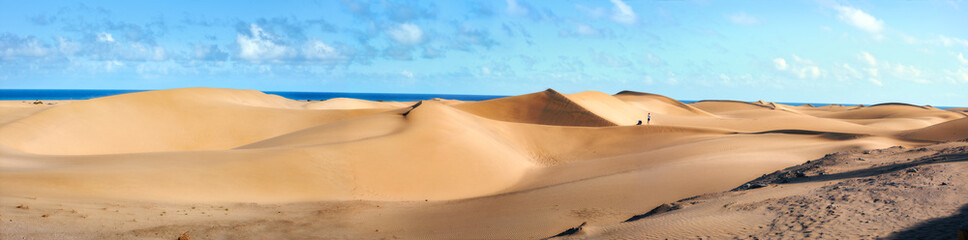 National park of Maspalomas sand dunes. Gran Canaria, Canary islands, Spain