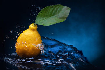 Still life food lemon with green leaf on blue spot background in water spray with reflection