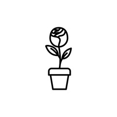 rose flower in pot line style icon