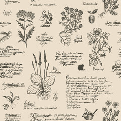 Vector seamless pattern on the theme of medicine and herbal treatment in retro style. Repeatable background with hand-drawn sketches, unreadable notes, various herbs and old medical symbols, blots. © paseven