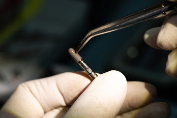 implant in the hands of a dentist surgeon