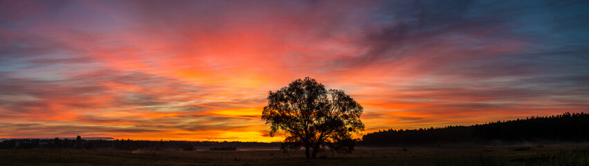 Fototapeta premium Sunrise over field and tree